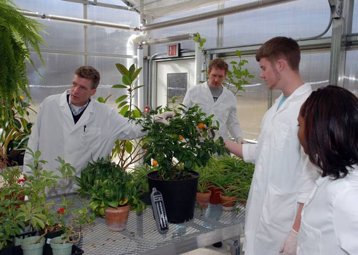 students uin the greenhouse