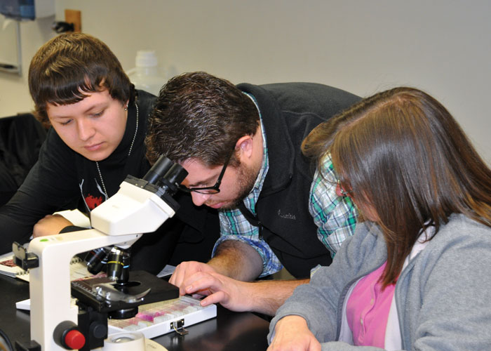 Students working on project with microscope